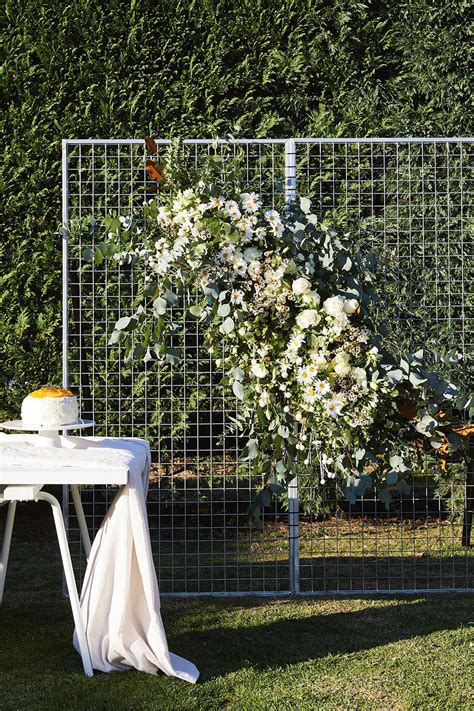 A perfect climbing plant A star-shaped Jasmine with white scented flowers and evergreen leaves. . Bunnings flower wall